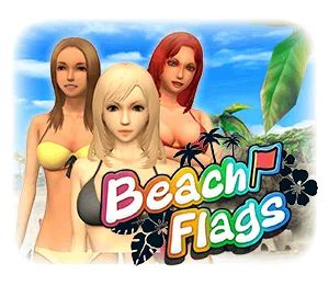 Beach Flags