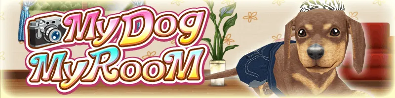 My Dog My Room